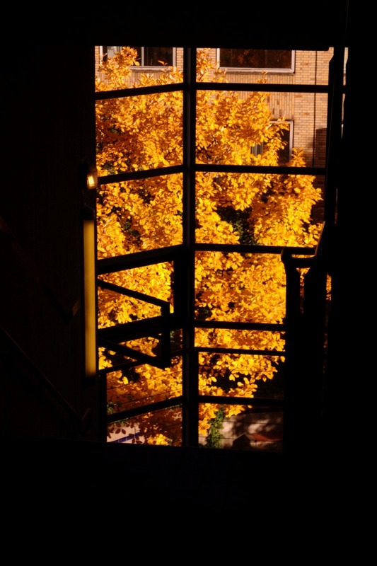 Herbststimmung im Treppenaufgang